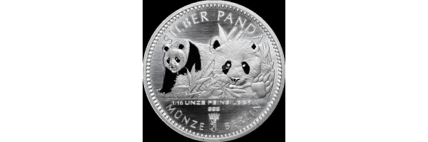 Silberbarren 1,94375 g (1/16 Oz)