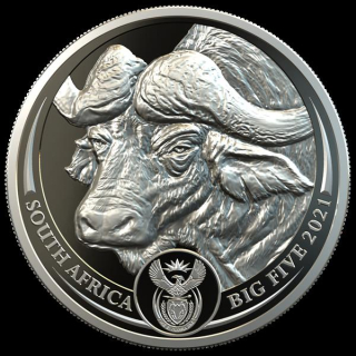1 Unze Platin Big Five Büffel Südafrika 2021 Proof