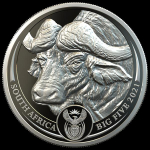1 Unze Platin Big Five Büffel Südafrika 2021 Proof