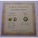 Südafrika 1 Unze Silber 1 Rand Sonne Afrikas Springbok 2021 vergoldet mit Sphen,