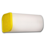 1/4 Unze Gold Tudors Beast The Lion England 2022 BU