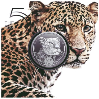 NEU* 1 Unze Silber Südafrika 2023 BU - LEOPARD - Big Five Serie II - Coin Card