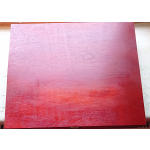 17 x 2 Euro 50 Jahre Römische Verträge alle Länder + Probeprägung 2 Euro mit Zertifikat - Original Holzetui