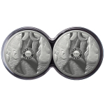Neu* 2 x 1 Unze Silber Big Five Serie II Nashorn Doppel-Kapsel Südafrika 2022 Proof