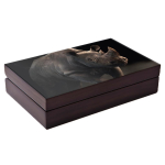 Neu* 2 x 1 Unze Silber Big Five Serie II Nashorn Doppel-Kapsel Südafrika 2022 Proof