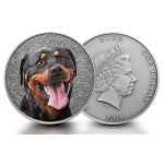 1 oz Niue 2016 Antique Finish - DEUTSCHER ROTTWEILER - Serie Watch and Guard Dog Ausgabe 1 - 1 NZ$
