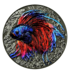 2 oz Niue 2024 Ruthenium Proof - BETTAFISH - Siamesischer Kampffisch Betta Splendens - silber 5 NZ$