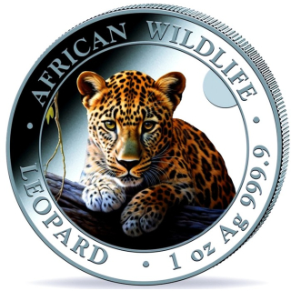 1 oz Somalia 2025 Color - LEOPARD African Wildlife - Silber BU  farbig 100 Shillings