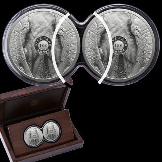 2 x 1 Unze Silber Big Five Elefant Doppel-Kapsel Südafrika 2024 Proof