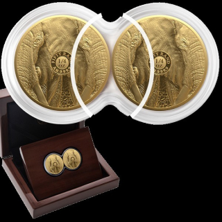 1/2 Unze Goldsatz Big Five Serie III (1.) - Elefant - Doppel-Kapsel-Satz - Südafrika 2024 Proof