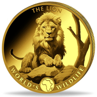 1 Oz Gold Kongo 2025 Proof - LÖWE - LION - Worlds Wildlife serie - Ausgabe 7 - 100 Frs