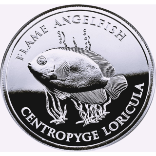 NEU* 1 oz Pitcairn 2025 BU - FLAMMEN-KAISERFISH - Flame Angelfish - Marine Life Kollektion - silber 2 NZ$