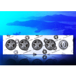 NEU*  1 oz Montserrat 2024 BU - SEESTERN STARFISH - EC8...