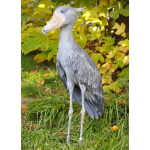 1 Unze Silber Ruanda Schuhschnabel 2019 African Ounce 50 RWF Proof