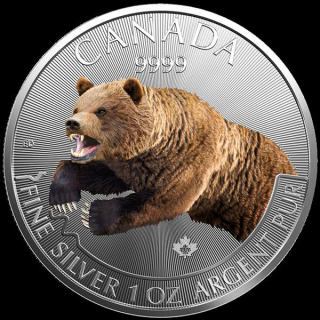 1 Unze Silber Canada Predator - Grizzly 2019 Raubtiere farbig