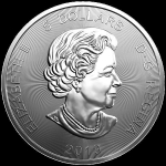 1 Unze Silber Canada Predator - Grizzly 2019 Raubtiere farbig